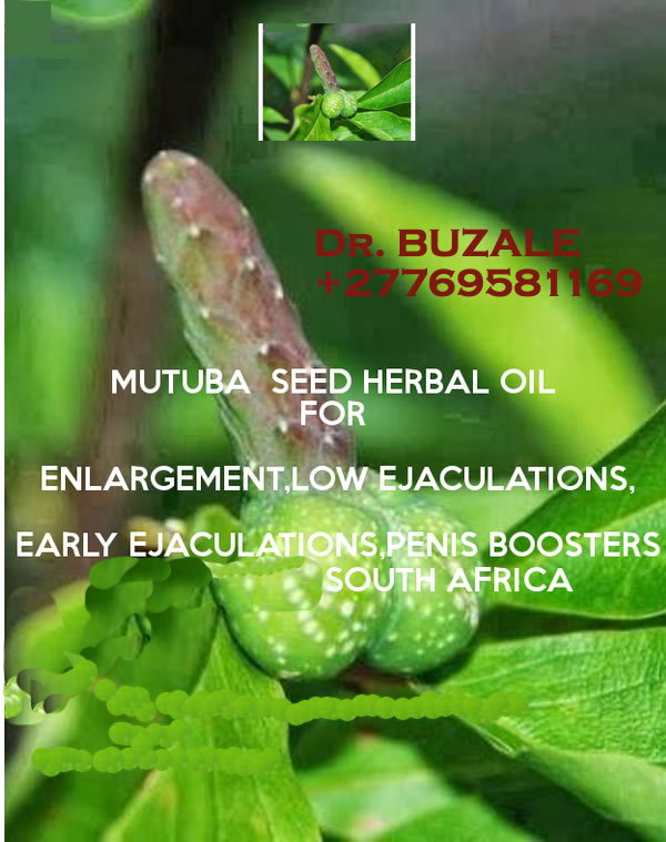 +27769581169 Best Sangoma /Traditional Healer in SA